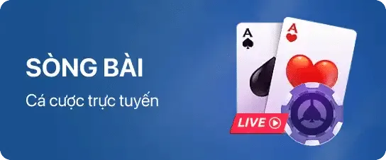 9bet casino